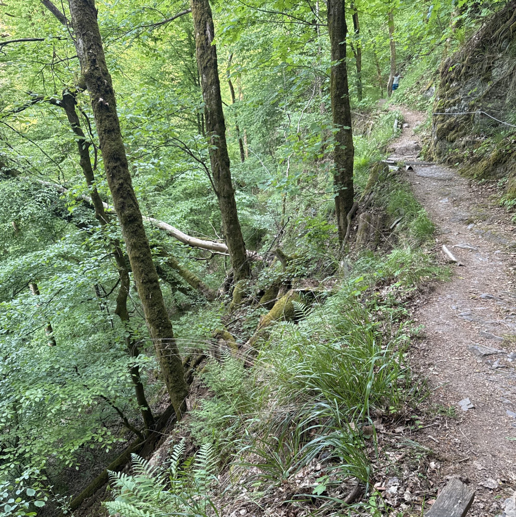 Weg am Abgrund a